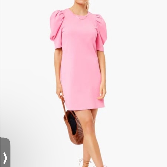 Pomander Place Dresses & Skirts - Pomander place Stella puff sleeve dress pink size XL Tuckernuck